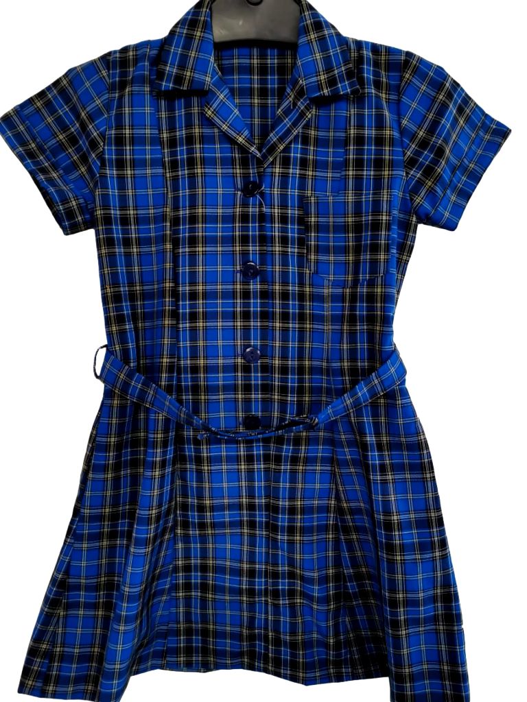 Blue and Black Check Dress
