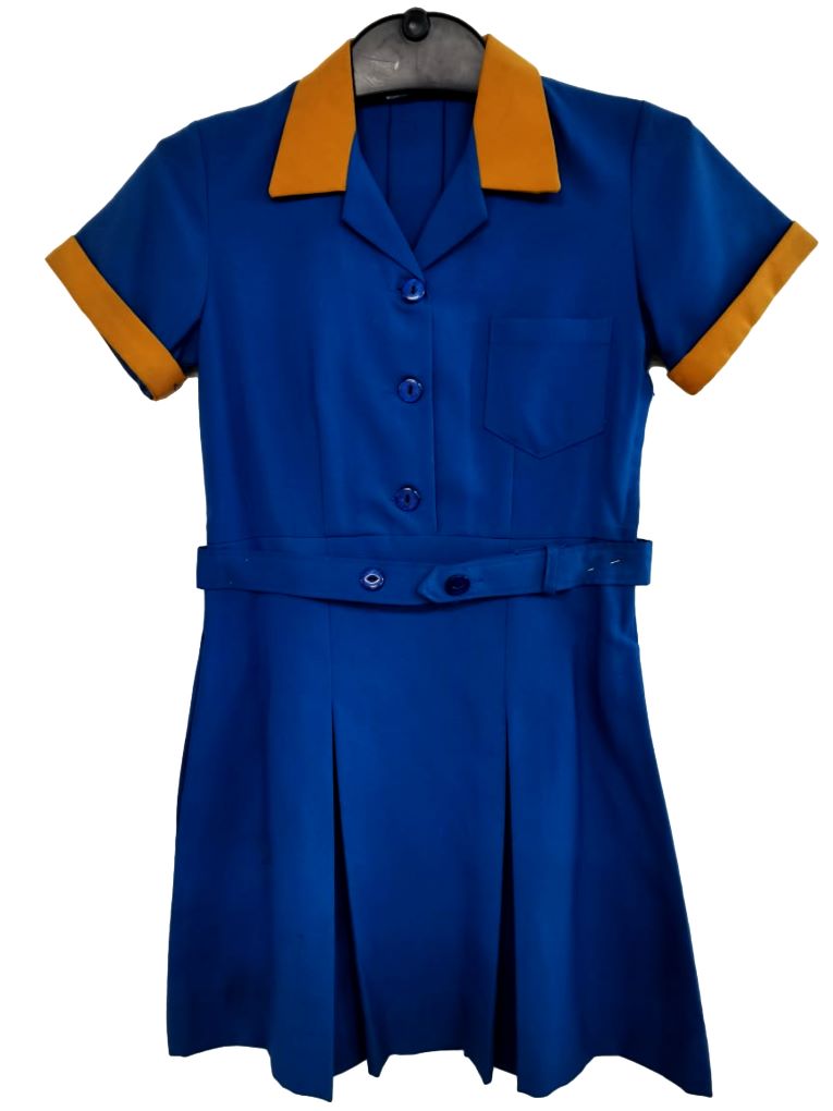 Navy Blue and Yellow Dress